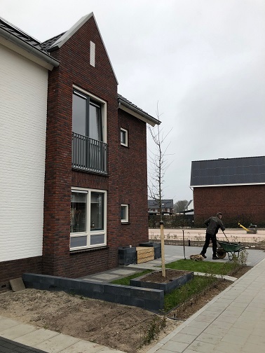 Foto plant een boomactie